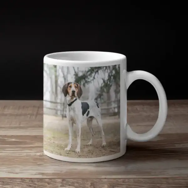 American Coonhound Coffee Mug, Animal American Coonhound Coffee Mug