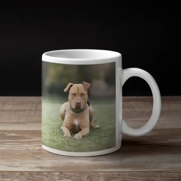 American Pit Bull Terrier Coffee Mug, Animal American Pit Bull Terrier Coffee Mug